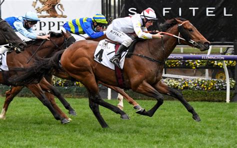 danehill stakes|Danehill Stakes Field – 2021 .